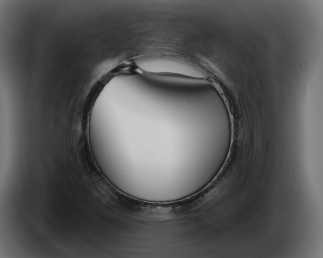 X0000083551261200703021641