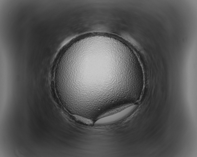 X0000083551264200703021641