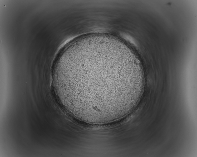 X0000083551267200703021641