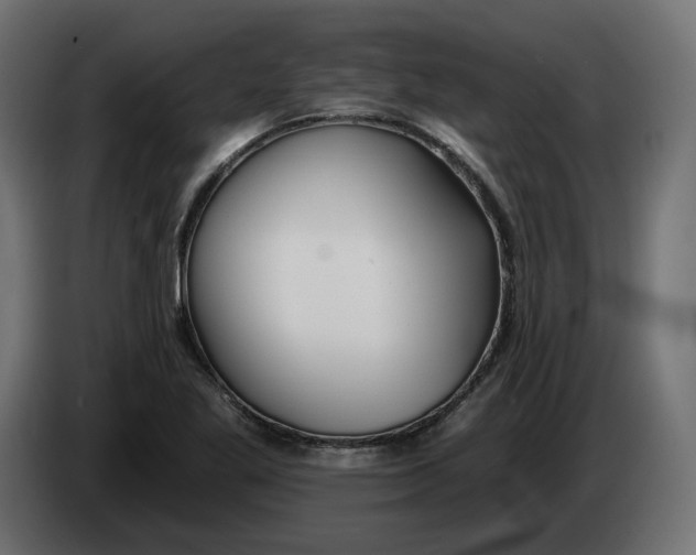 X0000083551269200703021641