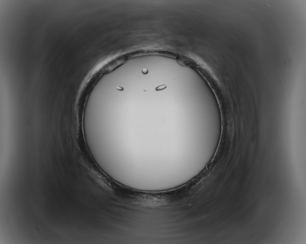 X0000083551270200703021641