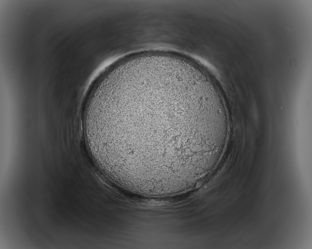 X0000083551271200703021641