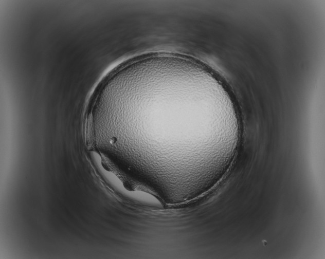 X0000083551272200703021641