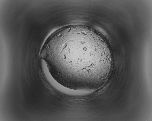 X0000083551275200703021641