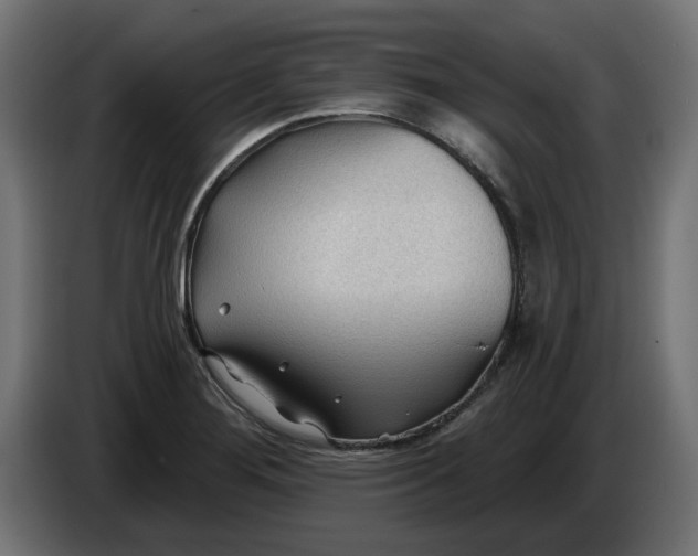 X0000083551276200703021641