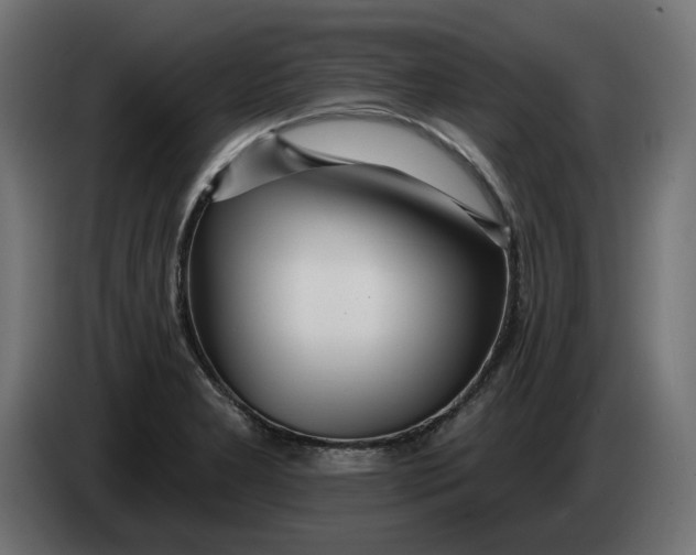 X0000083551277200703021641