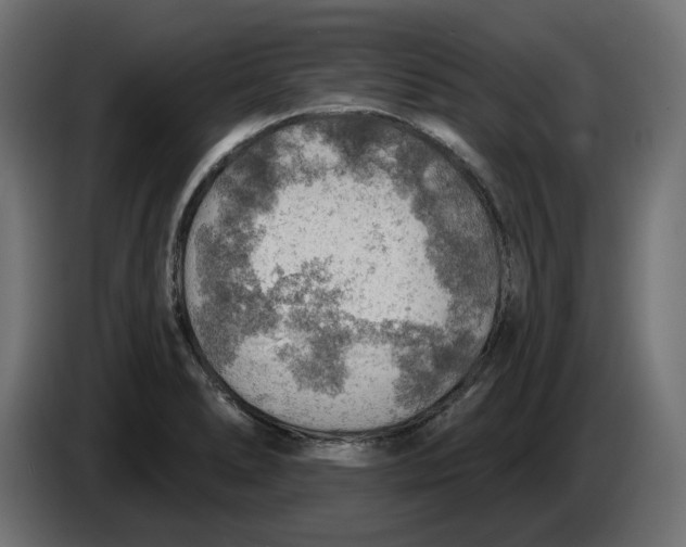 X0000083551278200703021641