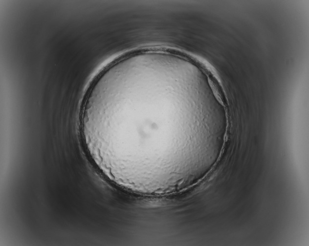 X0000083551279200703021641