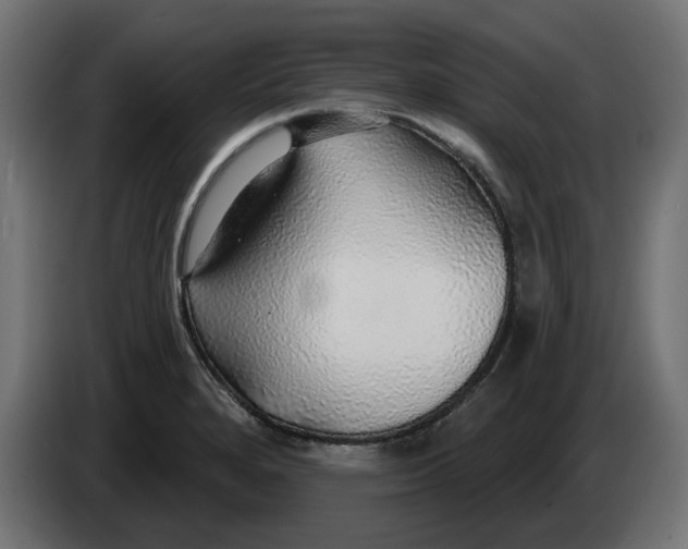 X0000083551280200703021641