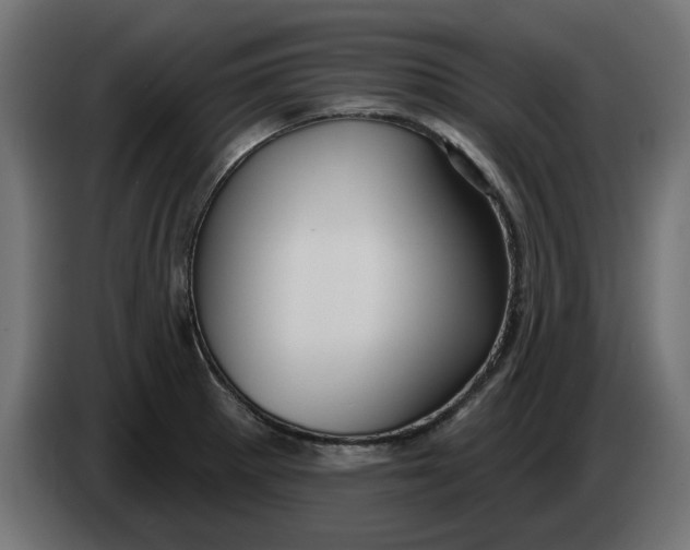 X0000083551281200703021641