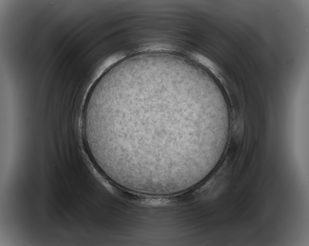 X0000083551282200703021640