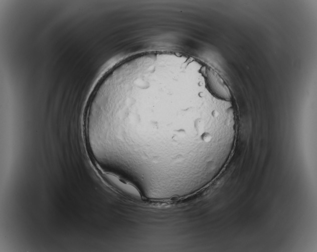 X0000083551283200703021640