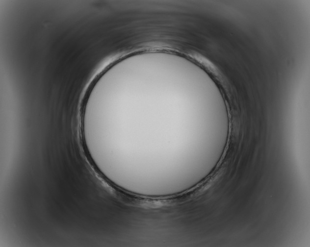 X0000083551286200703021640