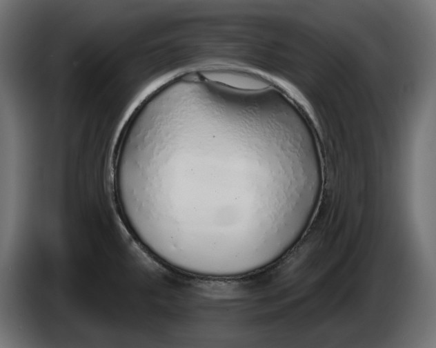 X0000083551287200703021640