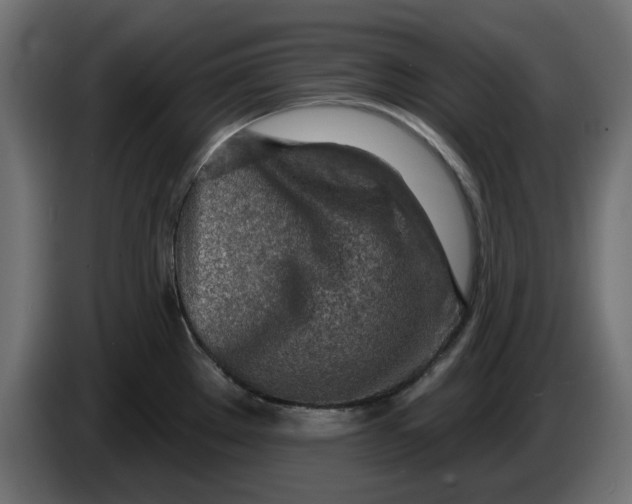 X0000083551289200703021640