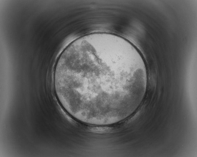 X0000083551290200703021640