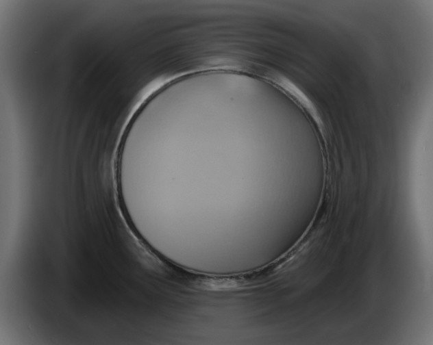 X0000083551291200703021640