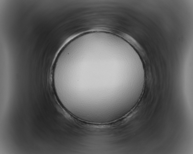 X0000083551292200703021640