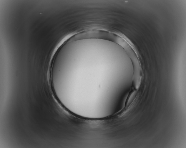 X0000083551293200703021640