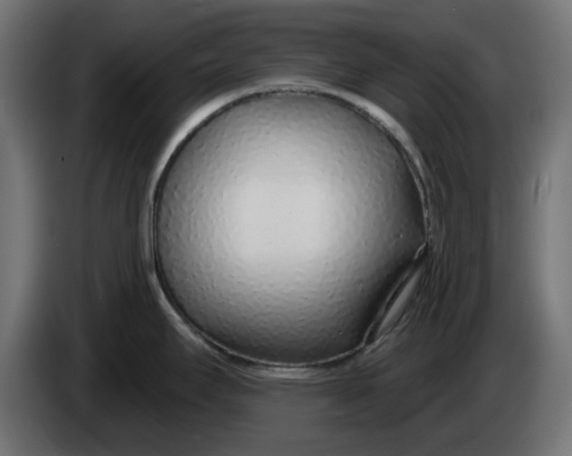 X0000083551295200703021640