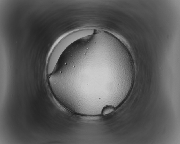 X0000083551296200703021640