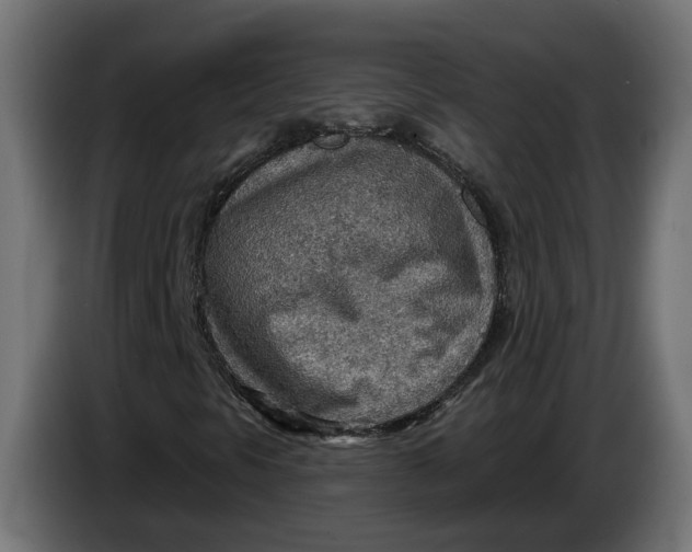 X0000083551297200703021639