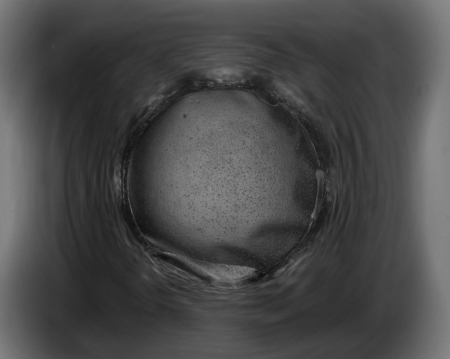 X0000083551298200703021639