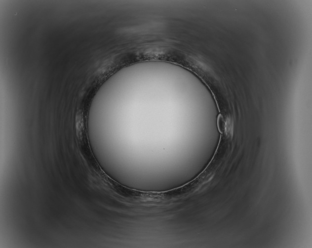 X0000083551299200703021639