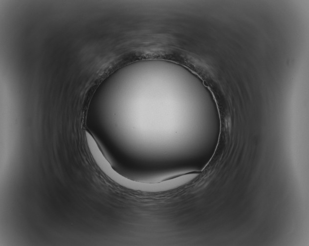 X0000083551300200703021639