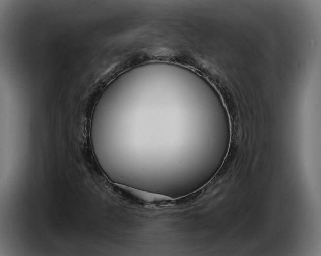 X0000083551301200703021639