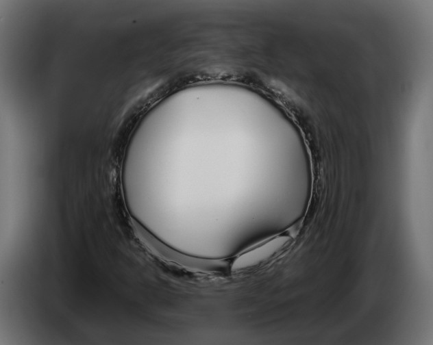 X0000083551302200703021639