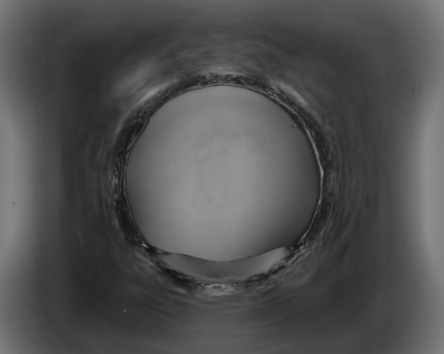 X0000083551303200703021639