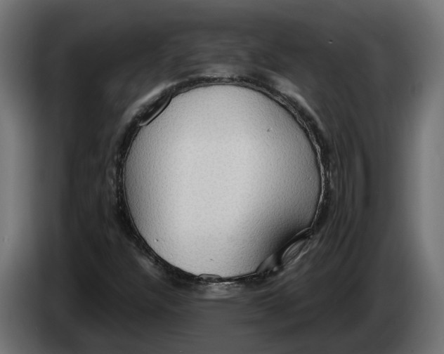 X0000083551304200703021639