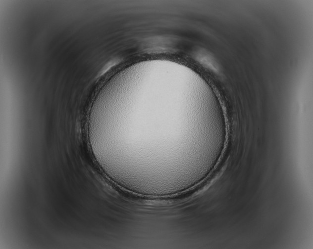 X0000083551305200703021639