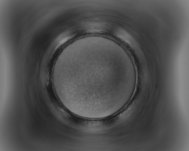 X0000083551306200703021639