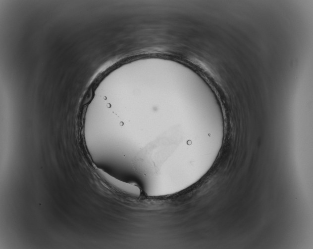 X0000083551308200703021639