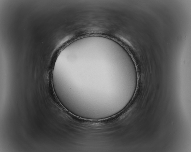 X0000083551309200703021639