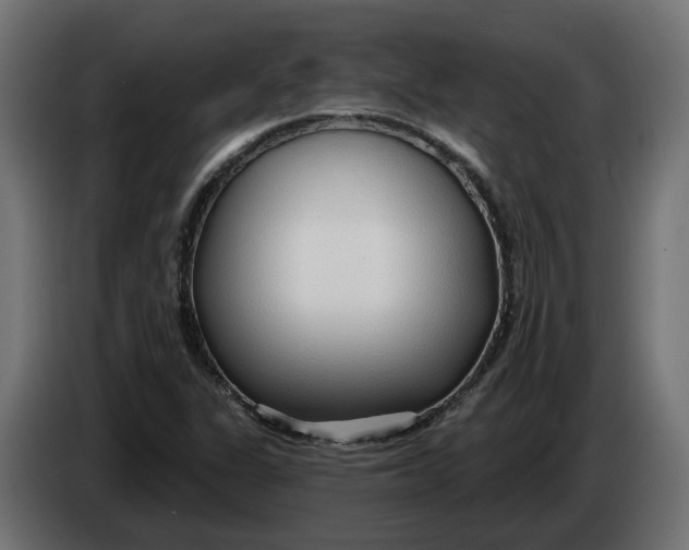 X0000083551311200703021639
