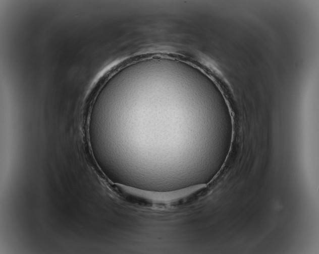 X0000083551312200703021639