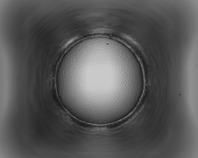 X0000083551313200703021639