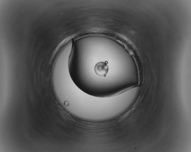 X0000083551314200703021640
