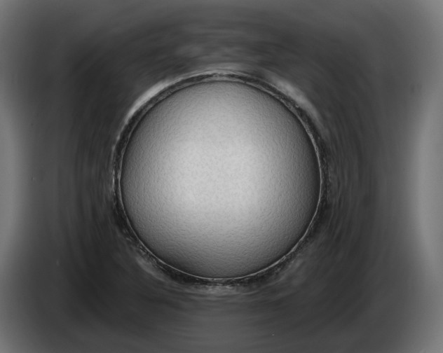 X0000083551316200703021640