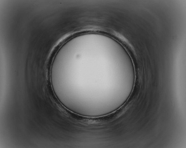 X0000083551318200703021640