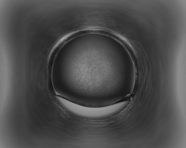 X0000083551319200703021640