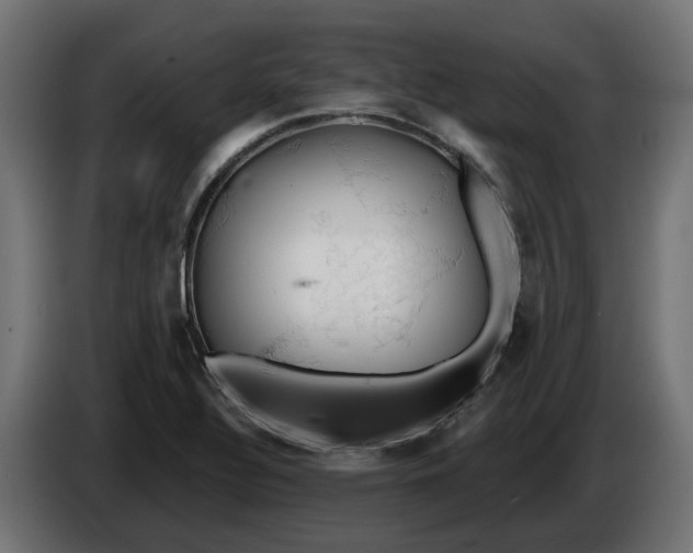 X0000083551320200703021640
