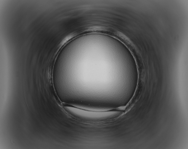 X0000083551321200703021640