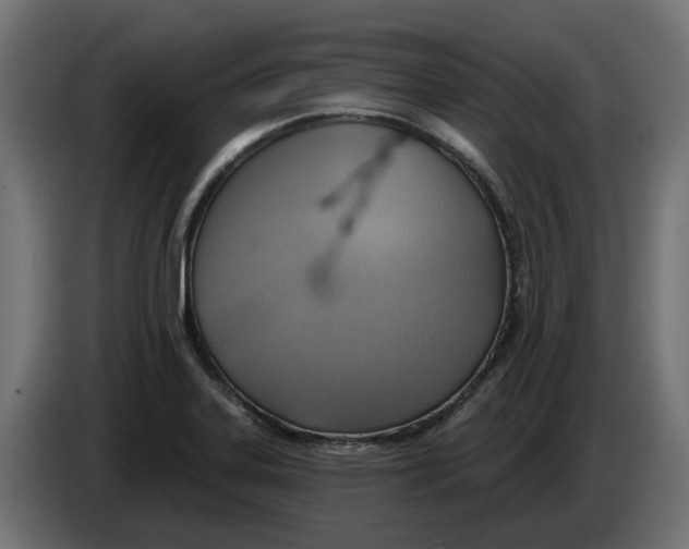 X0000083551323200703021640