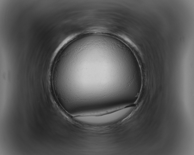 X0000083551325200703021640
