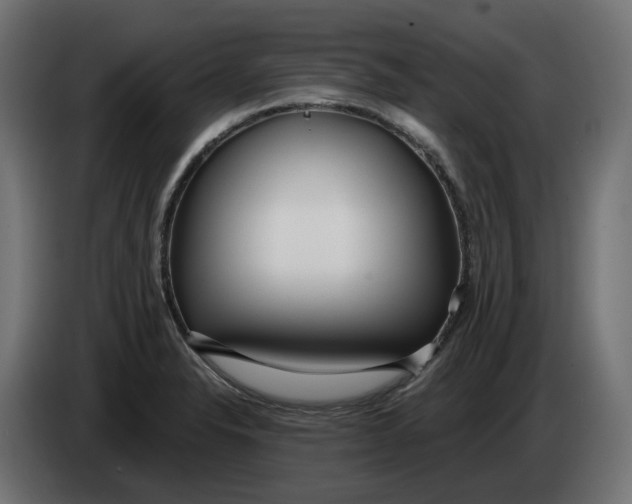 X0000083551326200703021640