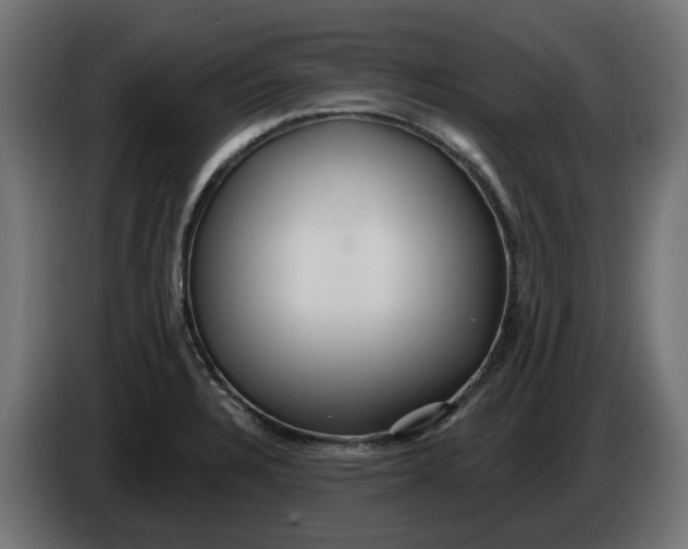 X0000083551328200703021640